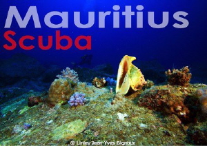 Republic of Mauritius -Scuba Mauritus 
Flic en Flac 20me... by Linley Jean-Yves Bignoux 